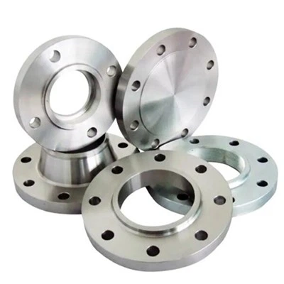 Gr2 Titanium Smedet Flange